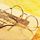 以为是被关心了其实是看错了